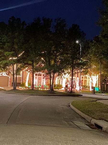 Home with trunk-wrapped trees and glowing landscape lighting at dusk